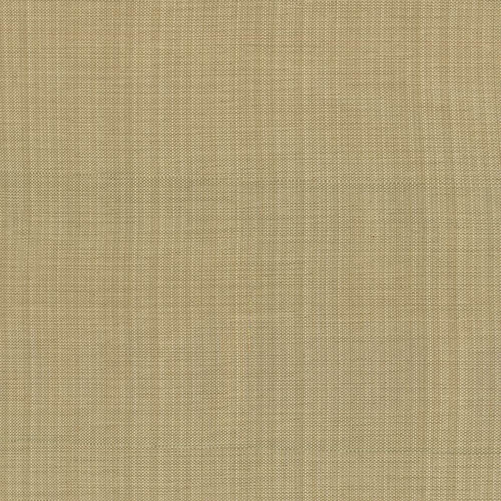 Ecuador Beige by Kasmir Fabric 1333 84% Polyester
16% Cotton
 INDIA </p><p>Repeat: Horizontal: N/A and Vertical: N/A 54 - Fabric Carolina -