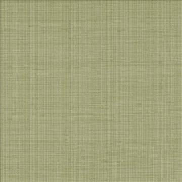 Ecuador Celery by Kasmir Fabric 1333 84% Polyester 16% Cotton INDIA 30,000 Wyzenbeek Double Rubs H: N/A, V: N/A 54 - Fabric Carolina - Kasmir