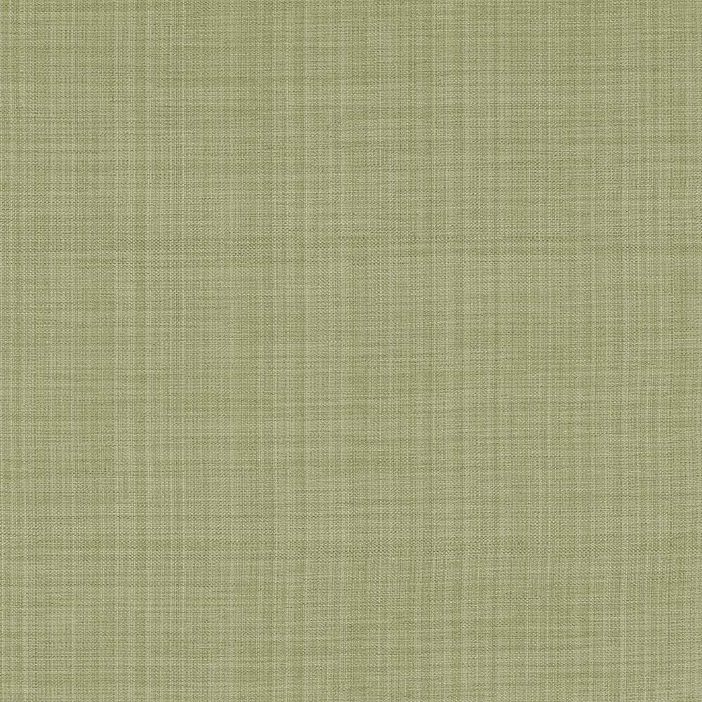 Ecuador Celery by Kasmir Fabric 1333 84% Polyester 16% Cotton INDIA 30,000 Wyzenbeek Double Rubs H: N/A, V:N/A 54 - Fabric Carolina - Kasmir
