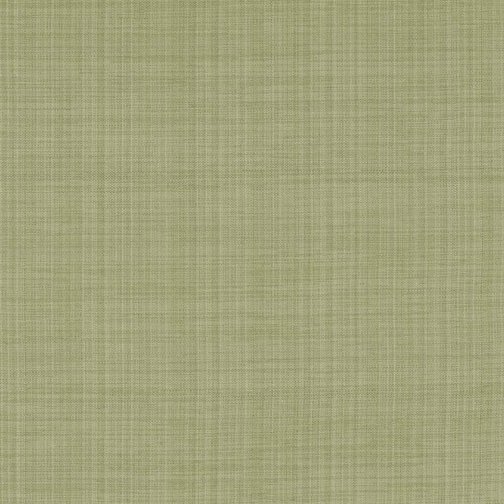 Ecuador Celery by Kasmir Fabric 1333 84% Polyester 16% Cotton INDIA 30,000 Wyzenbeek Double Rubs H: N/A, V:N/A 54 - Fabric Carolina - Kasmir
