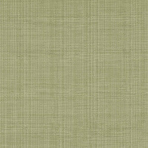 Ecuador Celery by Kasmir Fabric