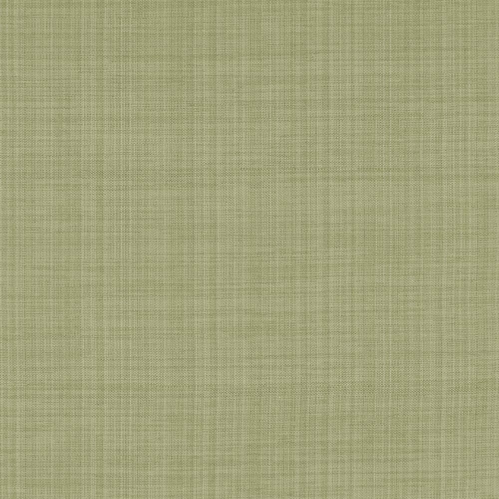 Ecuador Celery by Kasmir Fabric 5024 84% Polyester
16% Cotton
 INDIA </p><p>Repeat: Horizontal: N/A and Vertical: N/A 54 - Fabric Carolina -
