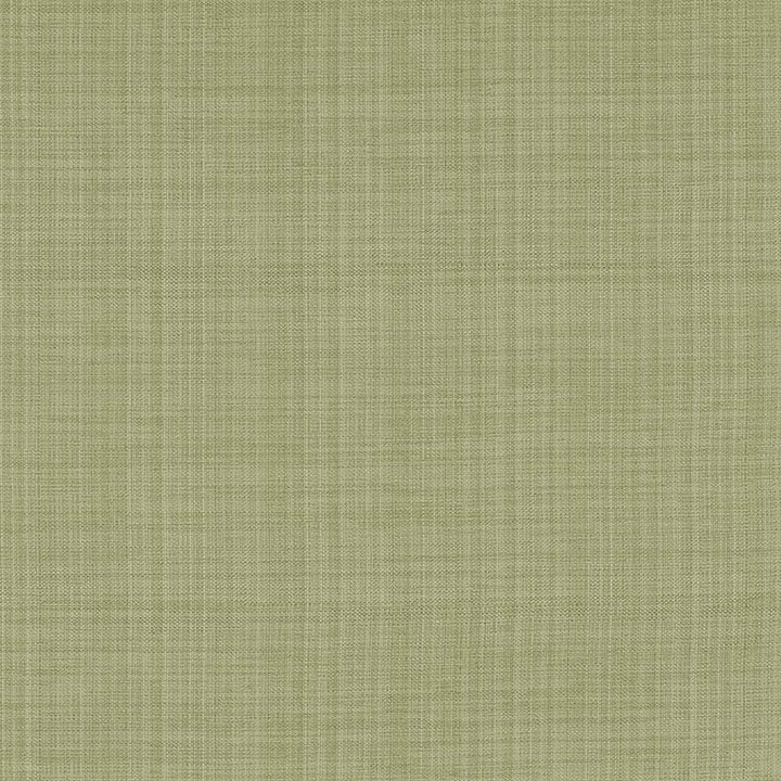 Ecuador Celery by Kasmir Fabric 5024 84% Polyester
16% Cotton
 INDIA 30,000 Wyzenbeek Double Rubs </p><p>Repeat: Horizontal: N/A and Vertical: N/A 54 - Fabric Carolina -