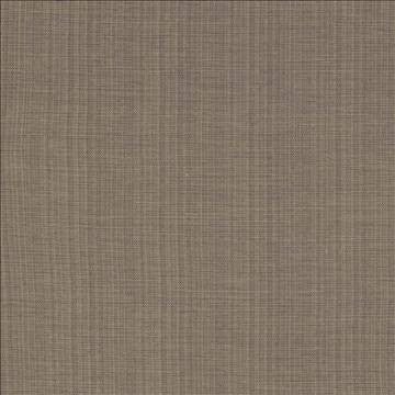 Ecuador Flint by Kasmir Fabric 1333 84% Polyester 16% Cotton INDIA 30,000 Wyzenbeek Double Rubs H: N/A, V: N/A 54 - Fabric Carolina - Kasmir