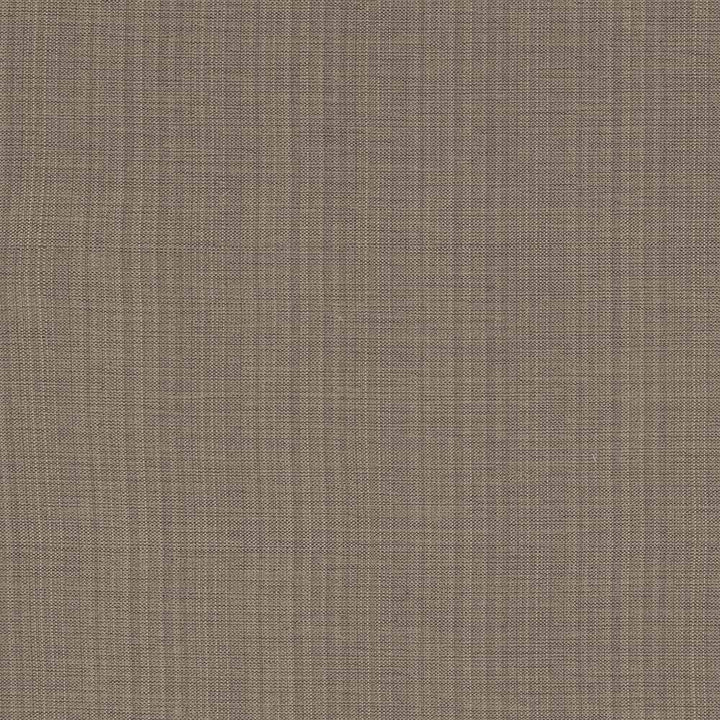 Ecuador Flint by Kasmir Fabric 1333 84% Polyester 16% Cotton INDIA 30,000 Wyzenbeek Double Rubs H: N/A, V:N/A 54 - Fabric Carolina - Kasmir