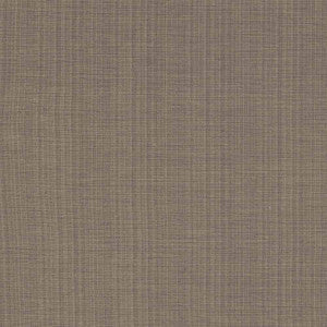 Ecuador Flint by Kasmir Fabric
