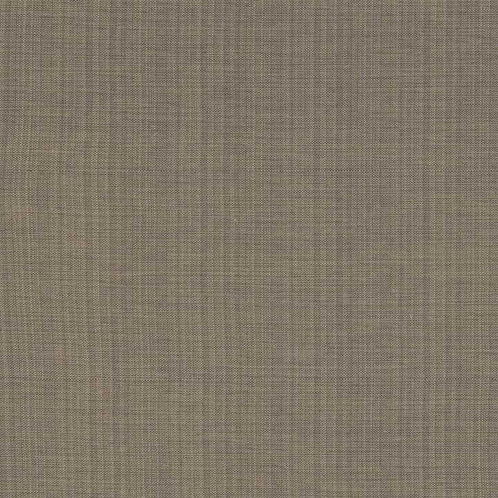 Ecuador Flint  by Kasmir Fabric See sample 84% Polyester
16% Cotton
 INDIA 30,000 Wyzenbeek Double Rubs </p><p>Repeat: Horizontal: N/A and Vertical: N/A 54  - Fabric Carolina -