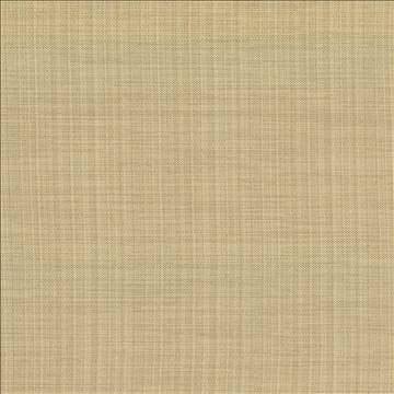 Ecuador Glow by Kasmir Fabric 5024 84% Polyester 16% Cotton INDIA 30,000 Wyzenbeek Double Rubs H: N/A, V: N/A 54 - Fabric Carolina - Kasmir