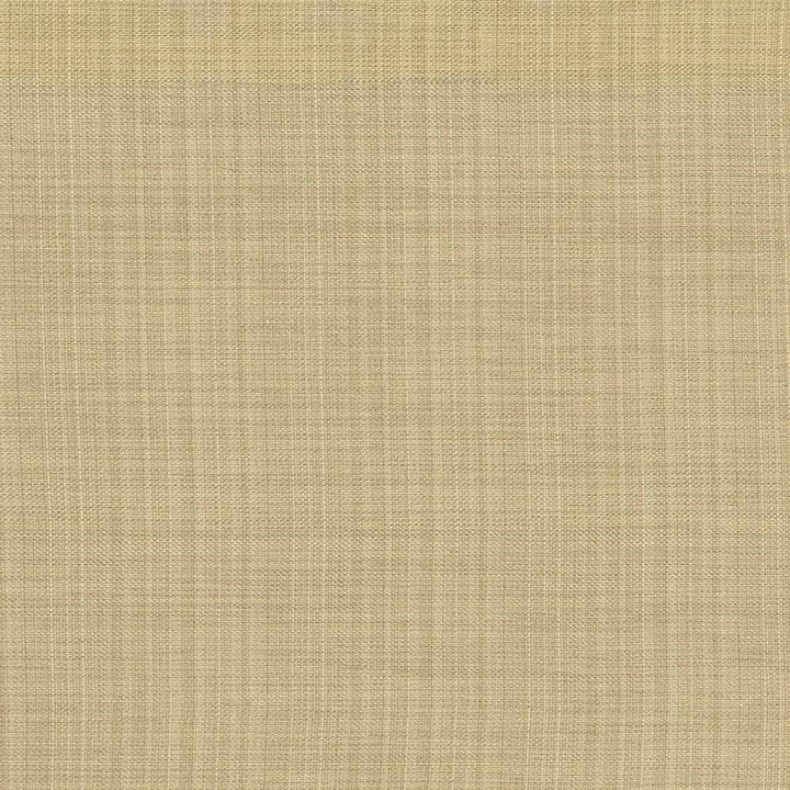 Ecuador Glow by Kasmir Fabric 5024 84% Polyester 16% Cotton INDIA 30,000 Wyzenbeek Double Rubs H: N/A, V:N/A 54 - Fabric Carolina - Kasmir