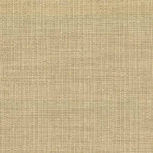 Ecuador Glow by Kasmir Fabric