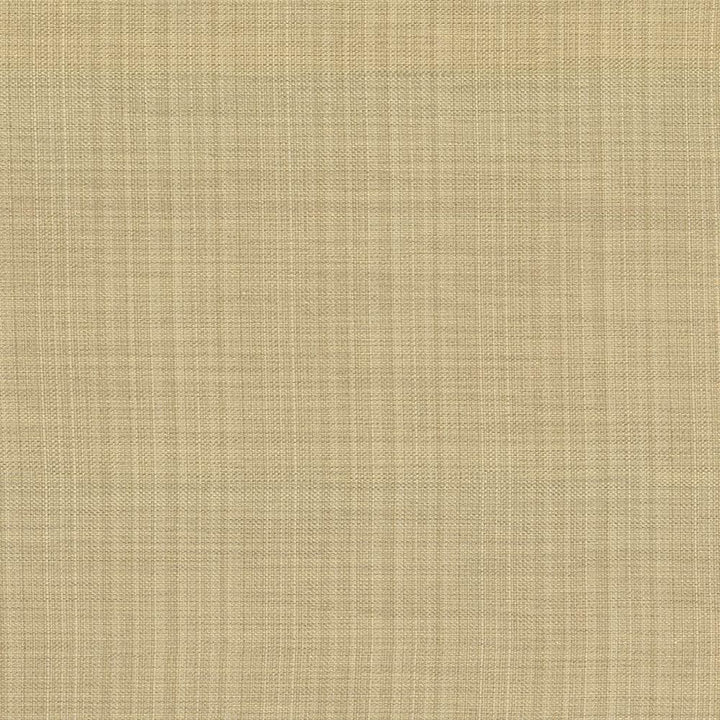 Ecuador Glow  by Kasmir Fabric See sample 84% Polyester
16% Cotton
 INDIA 30,000 Wyzenbeek Double Rubs </p><p>Repeat: Horizontal: N/A and Vertical: N/A 54  - Fabric Carolina -