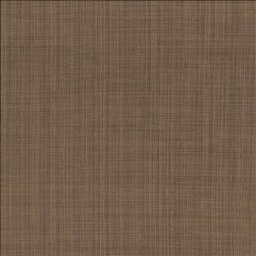Ecuador Havana by Kasmir Fabric 1333 84% Polyester 16% Cotton INDIA 30,000 Wyzenbeek Double Rubs H: N/A, V: N/A 54 - Fabric Carolina - Kasmir