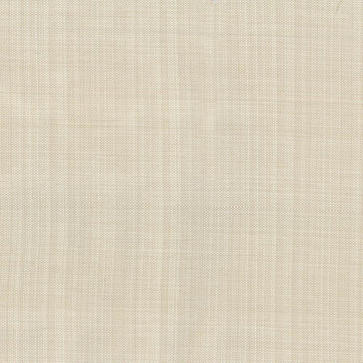 Ecuador Linen by Kasmir Fabric 5024 84% Polyester
16% Cotton
 INDIA </p><p>Repeat: Horizontal: N/A and Vertical: N/A 54 - Fabric Carolina -