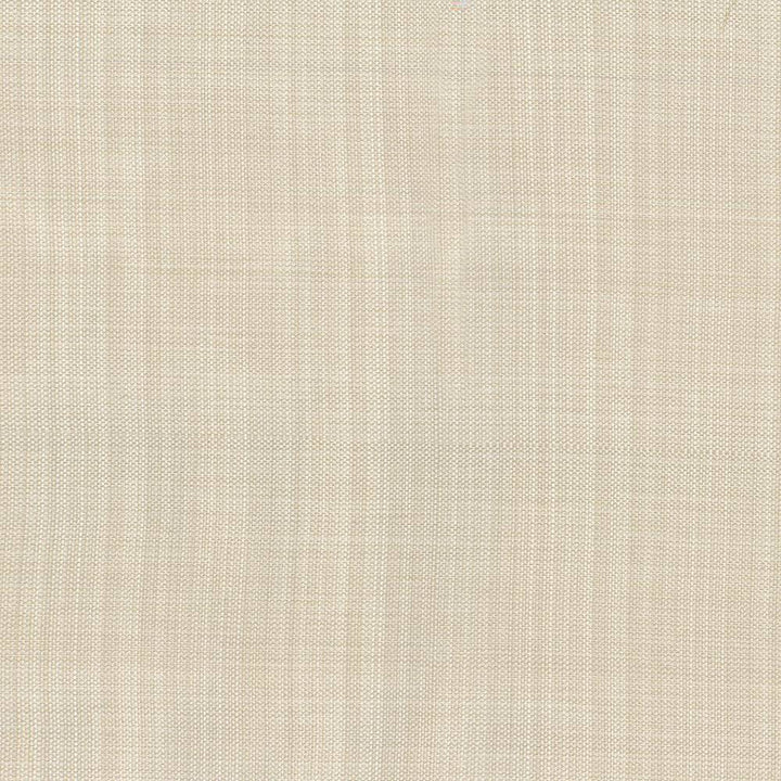 Ecuador Linen by Kasmir Fabric 5024 84% Polyester 16% Cotton INDIA 30,000 Wyzenbeek Double Rubs H: N/A, V:N/A 54 - Fabric Carolina - Kasmir