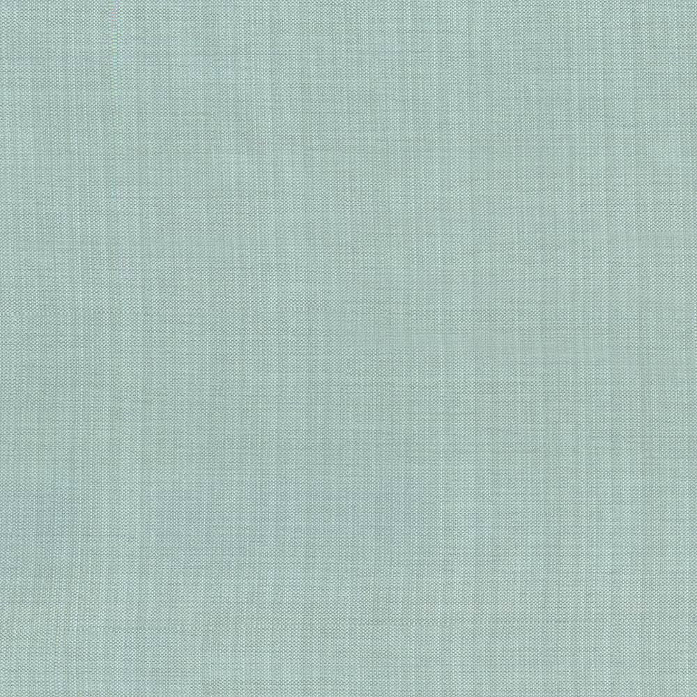 Ecuador Mint by Kasmir Fabric 5024 84% Polyester
16% Cotton
 INDIA </p><p>Repeat: Horizontal: N/A and Vertical: N/A 54 - Fabric Carolina -