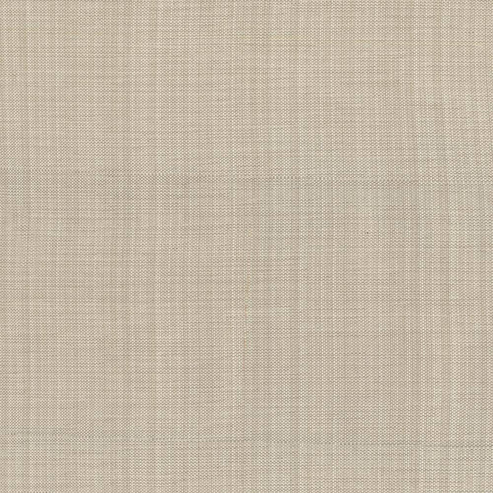 Ecuador Natural by Kasmir Fabric 5024 84% Polyester 16% Cotton INDIA 30,000 Wyzenbeek Double Rubs H: N/A, V:N/A 54 - Fabric Carolina - Kasmir