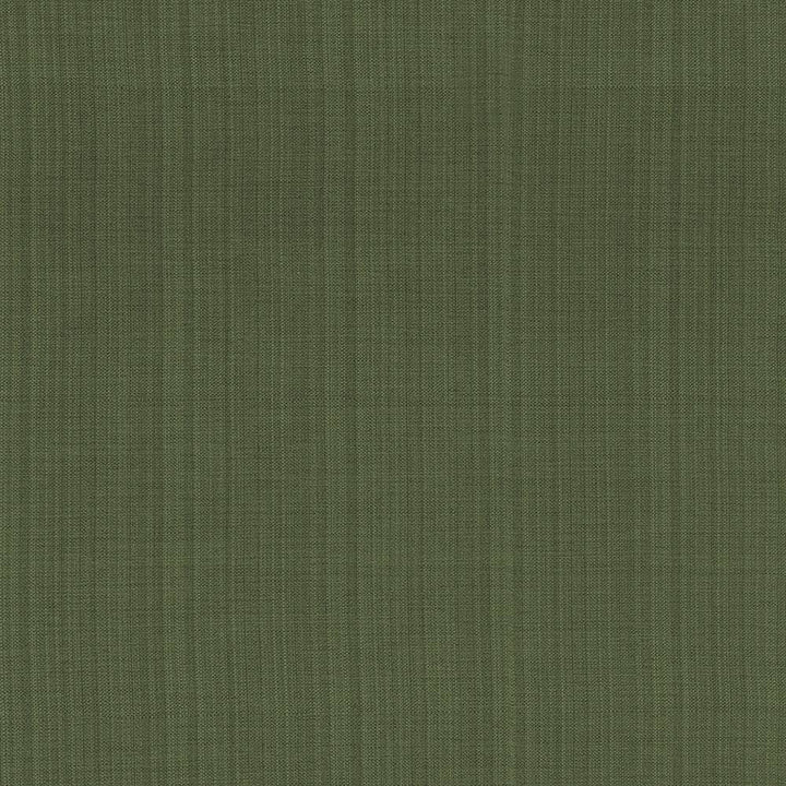 Ecuador Palm by Kasmir Fabric 1333 84% Polyester 16% Cotton INDIA 30,000 Wyzenbeek Double Rubs H: N/A, V:N/A 54 - Fabric Carolina - Kasmir