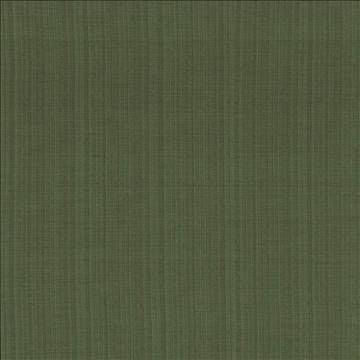 Ecuador Palm by Kasmir Fabric 5024 84% Polyester 16% Cotton INDIA 30,000 Wyzenbeek Double Rubs H: N/A, V: N/A 54 - Fabric Carolina - Kasmir