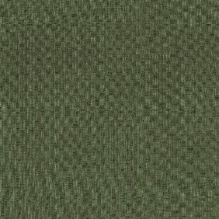 Ecuador Palm by Kasmir Fabric 1333 84% Polyester 16% Cotton INDIA 30,000 Wyzenbeek Double Rubs Horizontal: 0 Inches and Vertical: 0 Inches 54 - Fabric Carolina -