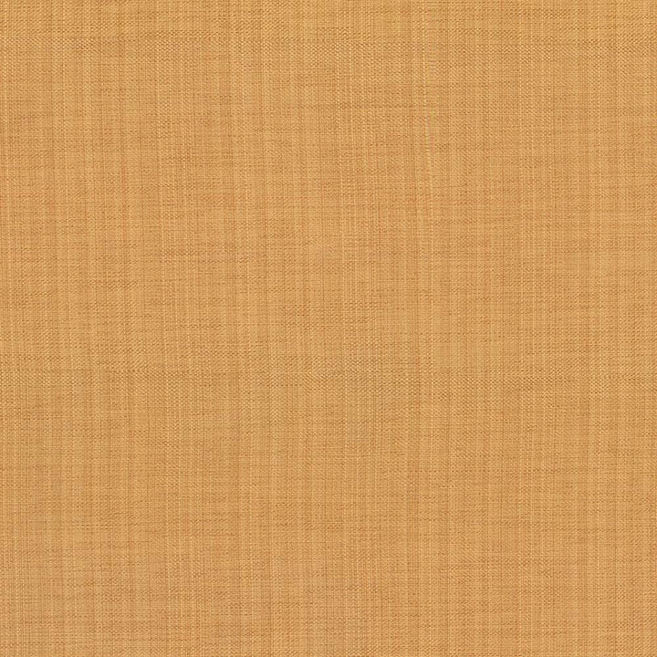 Ecuador Sorbet by Kasmir Fabric 5024 84% Polyester
16% Cotton
 INDIA </p><p>Repeat: Horizontal: N/A and Vertical: N/A 54 - Fabric Carolina -
