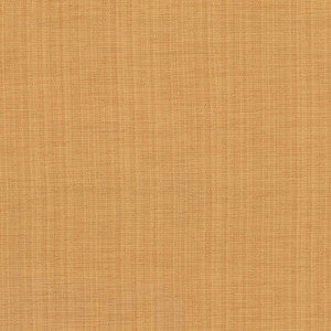 Ecuador Sorbet by Kasmir Fabric