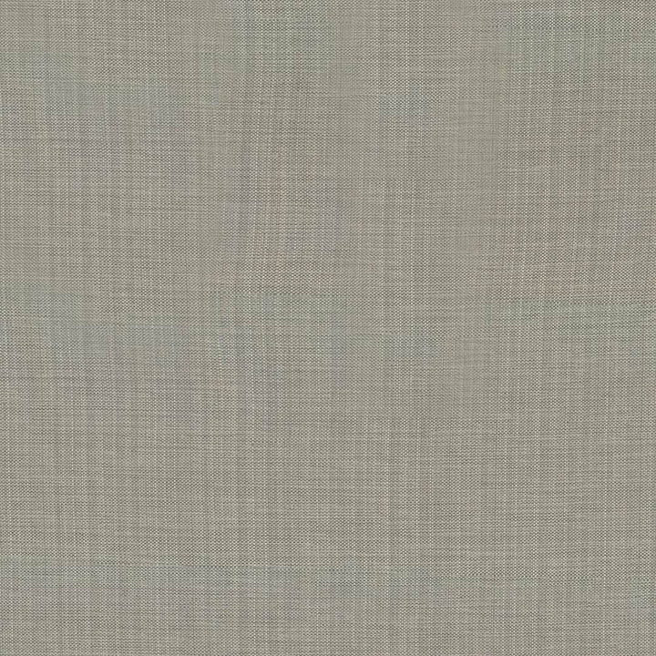 Ecuador Sterling by Kasmir Fabric 5024 84% Polyester
16% Cotton
 INDIA 30,000 Wyzenbeek Double Rubs </p><p>Repeat: Horizontal: N/A and Vertical: N/A 54 - Fabric Carolina -