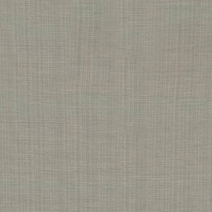 Ecuador Sterling by Kasmir Fabric 5024 84% Polyester 16% Cotton INDIA 30,000 Wyzenbeek Double Rubs H: N/A, V:N/A 54 - Fabric Carolina - Kasmir