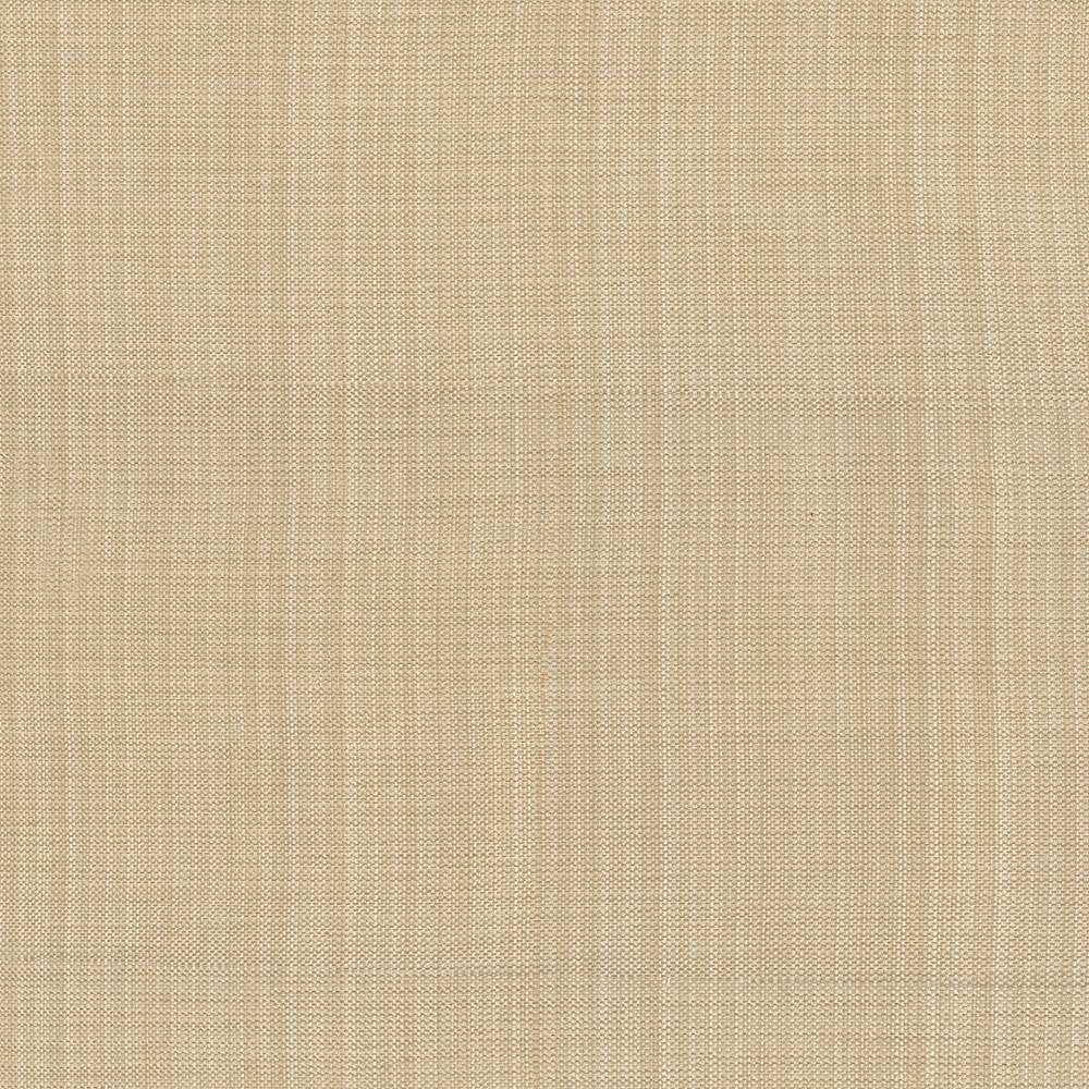 Ecuador Toast by Kasmir Fabric 5024 84% Polyester 16% Cotton INDIA 30,000 Wyzenbeek Double Rubs H: N/A, V:N/A 54 - Fabric Carolina - Kasmir