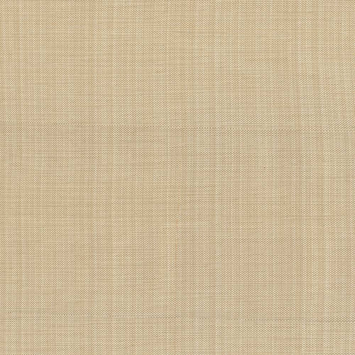 Ecuador Toast by Kasmir Fabric 5024 84% Polyester 16% Cotton INDIA 30,000 Wyzenbeek Double Rubs H: N/A, V:N/A 54 - Fabric Carolina - Kasmir