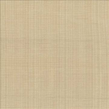 Ecuador Toast by Kasmir Fabric 5024 84% Polyester 16% Cotton INDIA 30,000 Wyzenbeek Double Rubs H: N/A, V: N/A 54 - Fabric Carolina - Kasmir