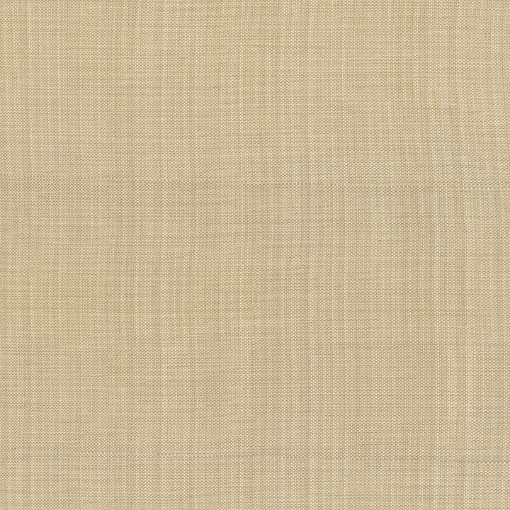 Ecuador Toast by Kasmir Fabric 5024 84% Polyester
16% Cotton
 INDIA </p><p>Repeat: Horizontal: N/A and Vertical: N/A 54 - Fabric Carolina -