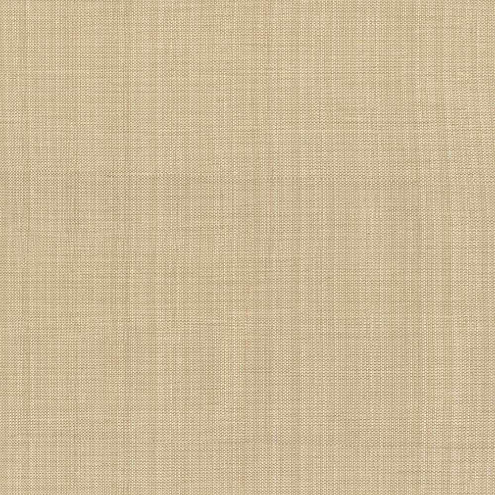 Ecuador Toast by Kasmir Fabric 5024 84% Polyester
16% Cotton
 INDIA 30,000 Wyzenbeek Double Rubs Horizontal: N/A and Vertical: N/A 54 - Fabric Carolina -