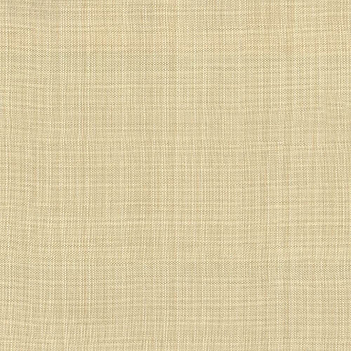 Ecuador Vanilla by Kasmir Fabric 5024 84% Polyester
16% Cotton
 INDIA </p><p>Repeat: Horizontal: N/A and Vertical: N/A 54 - Fabric Carolina -