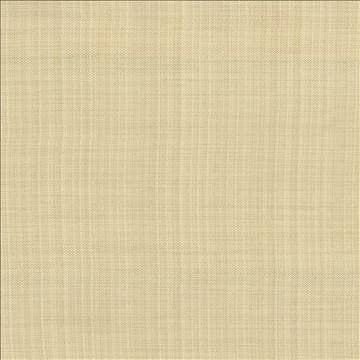 Ecuador Vanilla by Kasmir Fabric 1333 84% Polyester 16% Cotton INDIA 30,000 Wyzenbeek Double Rubs H: N/A, V: N/A 54 - Fabric Carolina - Kasmir
