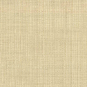 Ecuador Vanilla by Kasmir Fabric