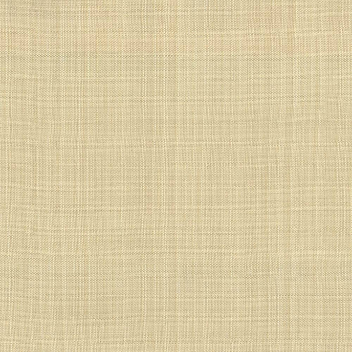 Ecuador Vanilla by Kasmir Fabric 5024 84% Polyester 16% Cotton INDIA 30,000 Wyzenbeek Double Rubs H: N/A, V:N/A 54 - Fabric Carolina - Kasmir