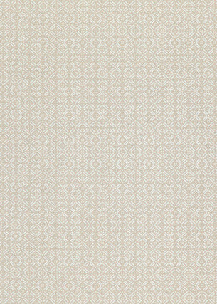 Aslin Ivory by Threads Fabric