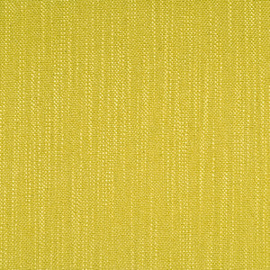 Isis Daffodil by Threads Fabric