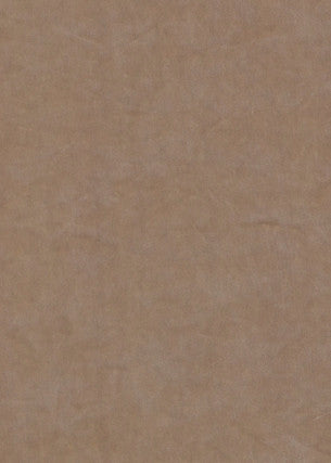Mercury Blush by Threads Fabric