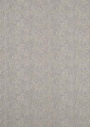 Galaxy Platinum/Slate by Threads Fabric