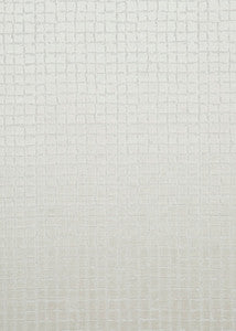 Odyssey Clay by Threads Fabric