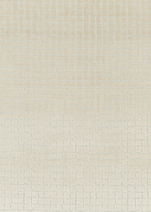 Odyssey Champagne by Threads Fabric