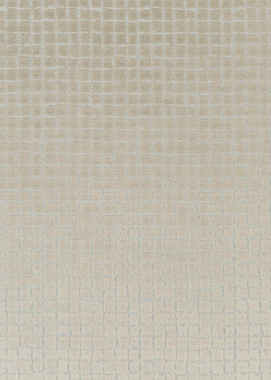 Odyssey Taupe by Threads Fabric