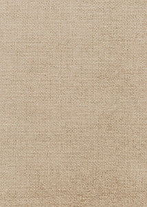 Cami Champagne by Threads Fabric