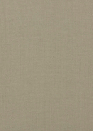 Meridian Linen Putty by Threads Fabric