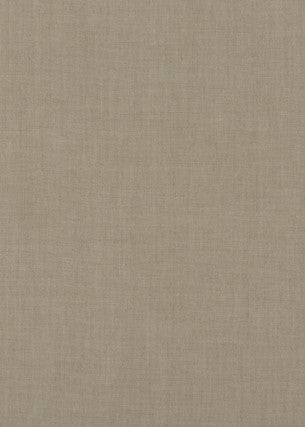 Meridian Linen Sisal by Threads Fabric