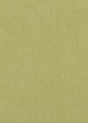 Meridian Linen Celery by Threads Fabric