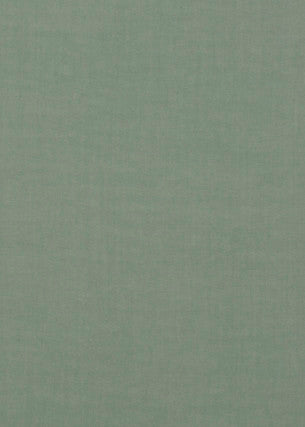 Meridian Linen Celadon by Threads Fabric