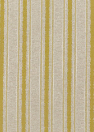 Rattan Stripe Citrus by Threads Fabric