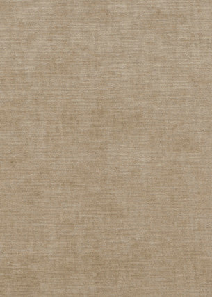 Meridian Velvet Oatmeal by Threads Fabric